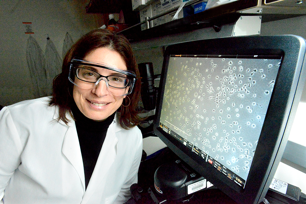Daniela Kaufer in the lab. Photo: Peg Skorpinski.