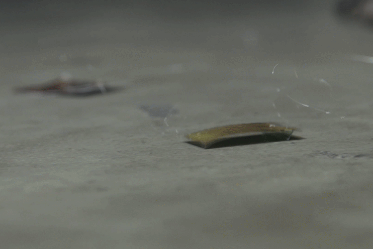 The roach-like robot crawls along the floor before being stepped on by a foot