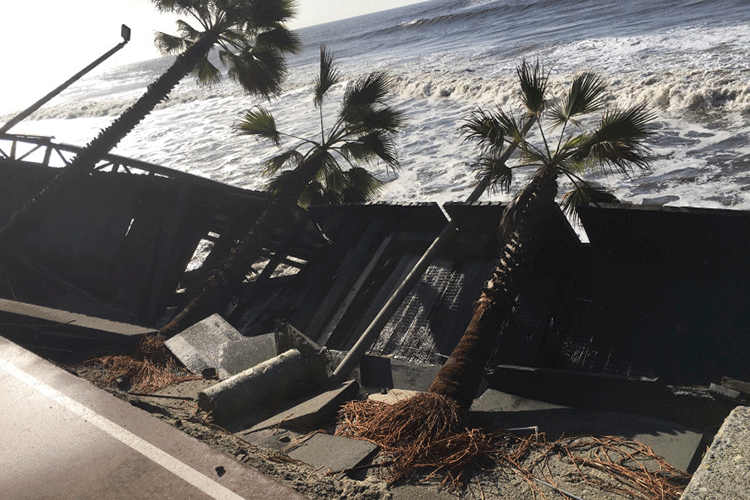 A photo shows palm trees and a walkway that are destroyed and falling into ocean waves