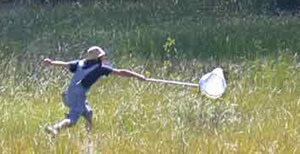 Child playing with a net in a field