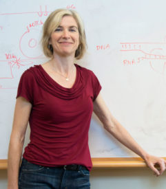 Berkeley scientist and CRISPR pioneer Jennifer Doudna is a member of the Biohub’s Science Advisory Group. (UC Berkeley photo by Cailey Cotner)