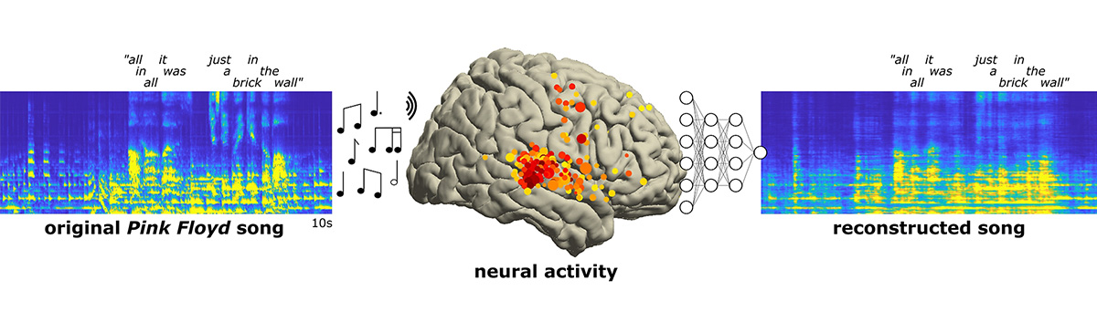 Brain graphic with red, orange and yellow dots and musical notations