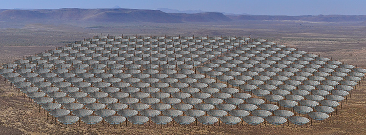The HERA collaboration expects eventually to expand to 330 radio dishes in the core array, each pointed straight up to measure radiation originally emitted some 13 billion years ago. Twenty outrigger dishes (not shown) are also planned, bringing the array up to 350 dishes total.