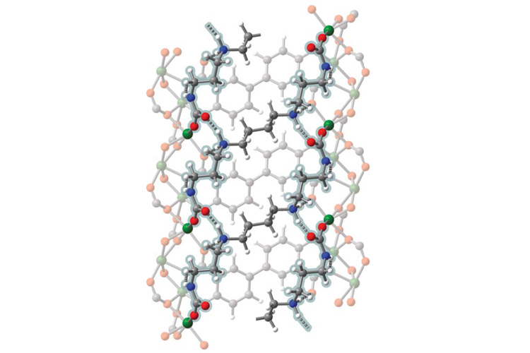 side view of the atoms in a MOF pore with absorbed carbon dioxide