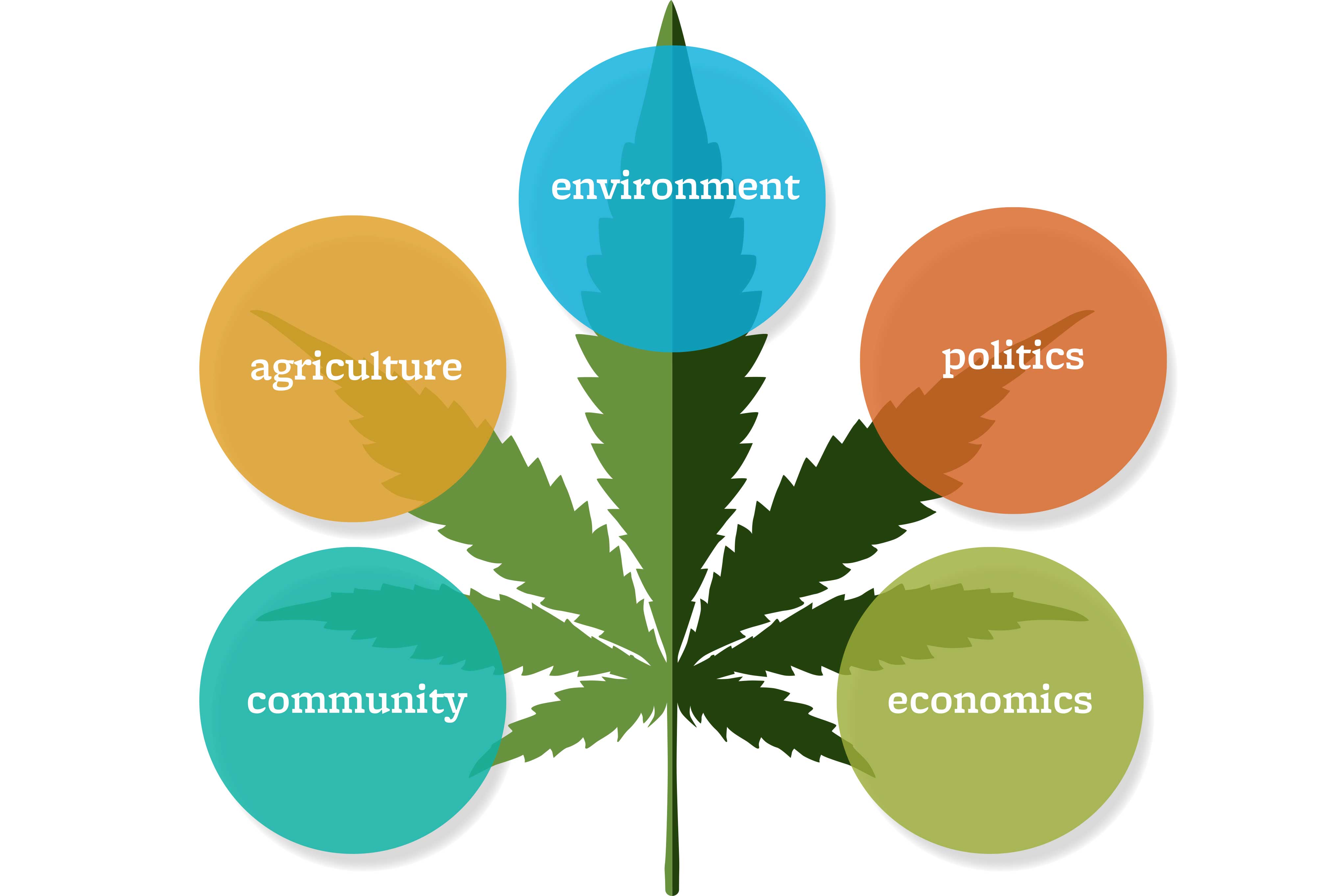 A graphic of a marijuana leaf with 5 colored circles surrounding it displaying the words: Community, Agriculture, Environment, Politics, and Economics