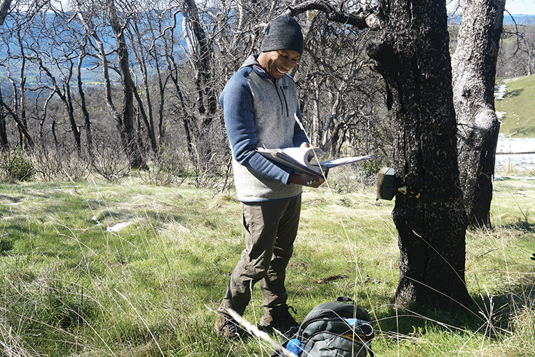 Alt: Kendall Calhoun stands in a grassy clearing between stands of oak trees. A backpack sits on the ground next his feet, and he is paging through a large binder