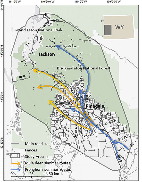 A map of a portion of western Wyoming shows common migratory routes used by mule deer and pronghorn antelope