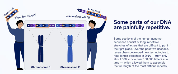 infographic: why was it hard to complete the human genome?