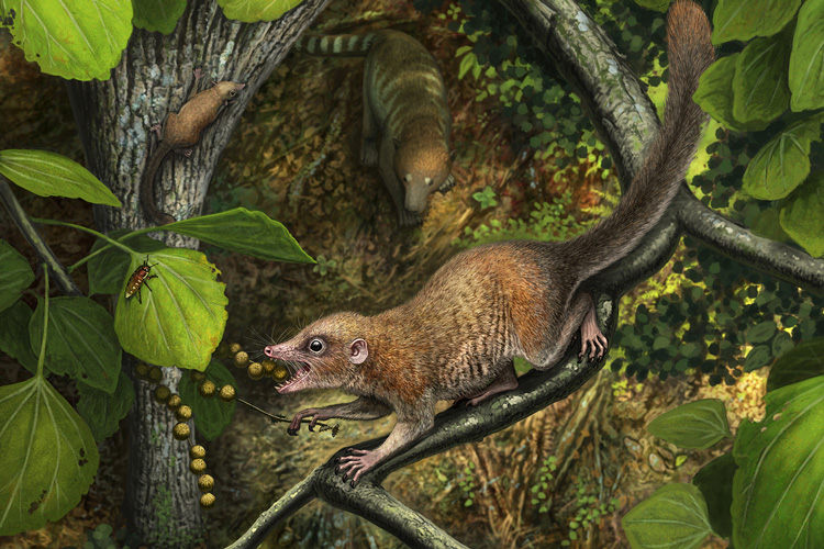 artistic rendering of extinct primate ancestor in trees