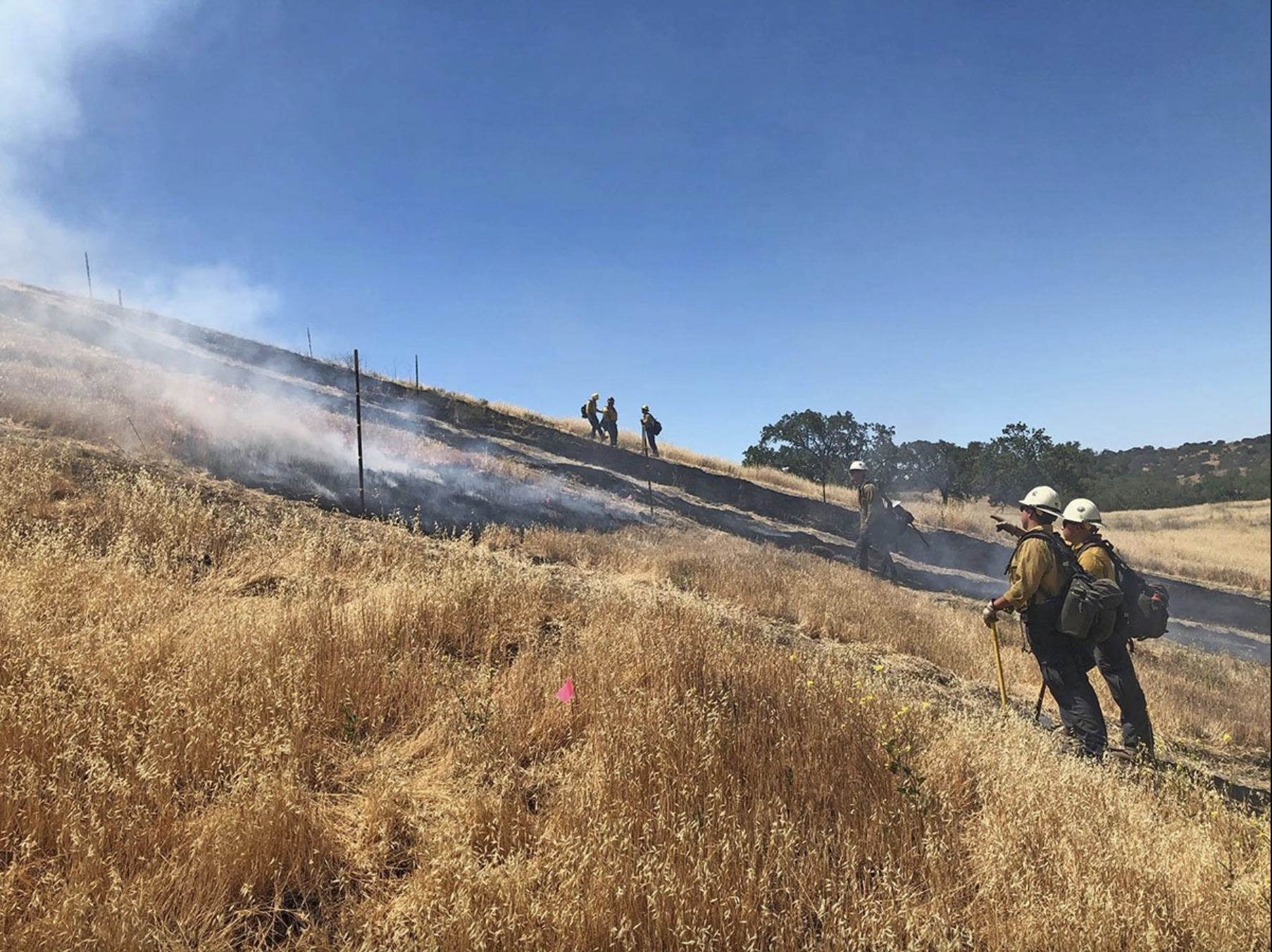 Firefighters extinguishing a prescribed burn