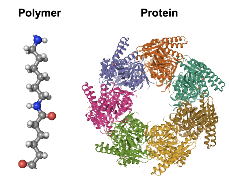 Image of polymer and protein