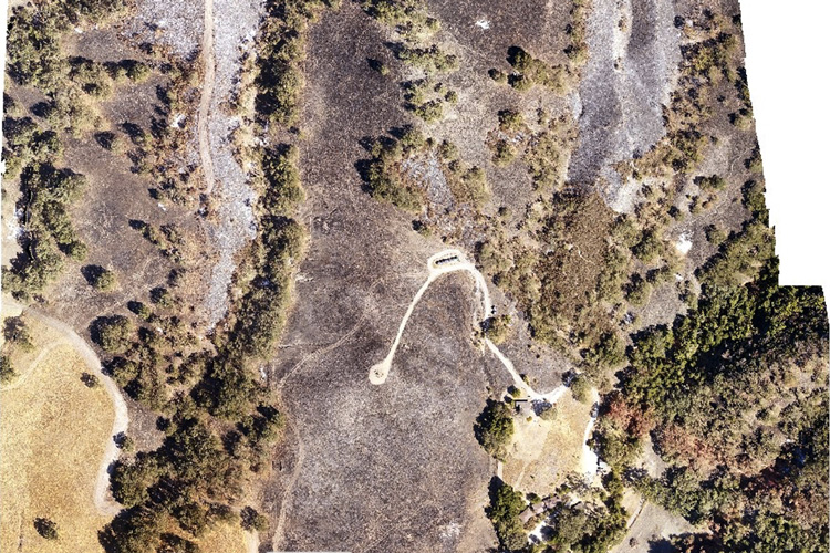 drone view of burned portions of Hastings Reserve