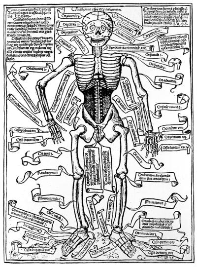 Skeleton of Richard Helain