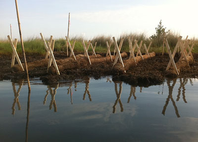 Tubular bags are held down by stakes in a grid over brown vegetation at the water's edge.