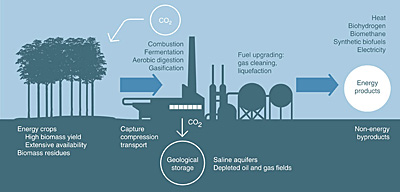 The BECCS process of converting biomass into electricity and fuels and capturing and storing the carbon emissions.