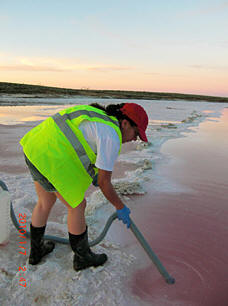 researcher collects samples with a tube at the shore.