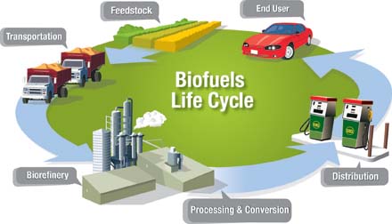stylization of the biofuels life cycle.