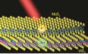 Illustration of a MoS2/WS2 heterostructure with a MoS2 monolayer lying on top of a WS2 monolayer. Electrons and holes created by light are shown to separate into different layers. Image: Feng Wang group