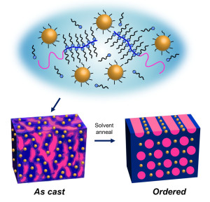 Upon solvent annealing, supramolecules made from gold nanoparticles and block copolymers will self-assemble into highly ordered thin films in one minute. - See more at: http://newscenter.lbl.gov/2014/06/09/nanoparticle-thin-films-that-self-assemble-in-one-minute/#sthash.715T7jT5.dpuf