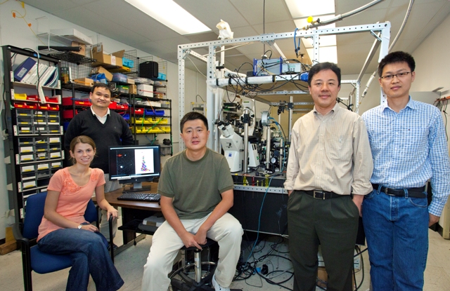 Five researchers in a lab.