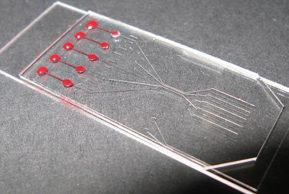 A model of the chip in a clear plastic.