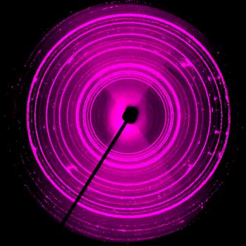 fluorescent violet circle.