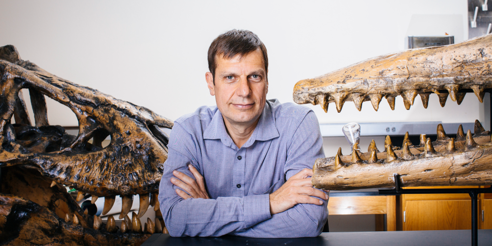 Charles Marshall sitting between skulls of T. rex and a giant extinct marine Mesozoic monster