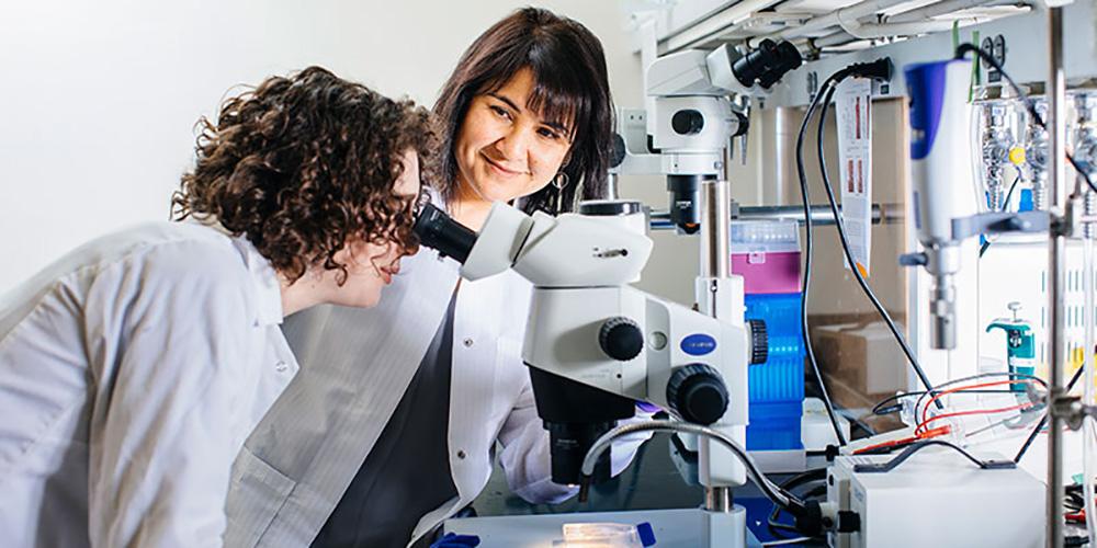 Diana Bautista, Professor of Cell Biology, Development & Physiology, mentoring in the lab.
