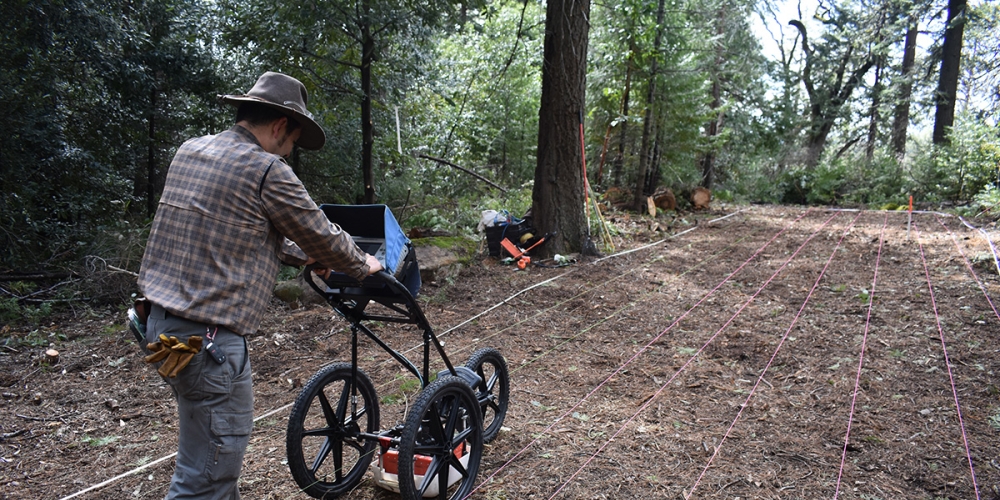Jun Sunseri conducting ground penetrating radar survey at the request of the United Auburn Indian Community Tribal Historic Preservation Officer (photo by Zack Emerson)