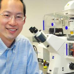 Christopher Chang in lab