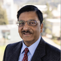 Prof. Vinod K. Aggarwal picture