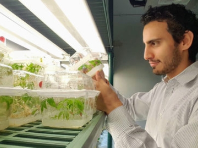 A photo showing a man holding a clear plastic container with small green plants growing inside, under a bright grow light.