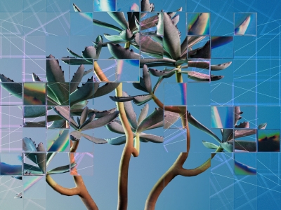 An image of a succulant plant with small boxes on leaves showing a magnified version of the plant that is meant to symbolize how AI interprets the world