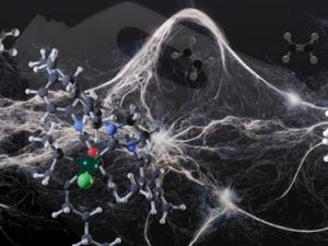 with a milk bottle as background, a graphic showing how web-like polymer is degraded