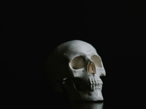 dramatic image of human skull turned at an angle with black background