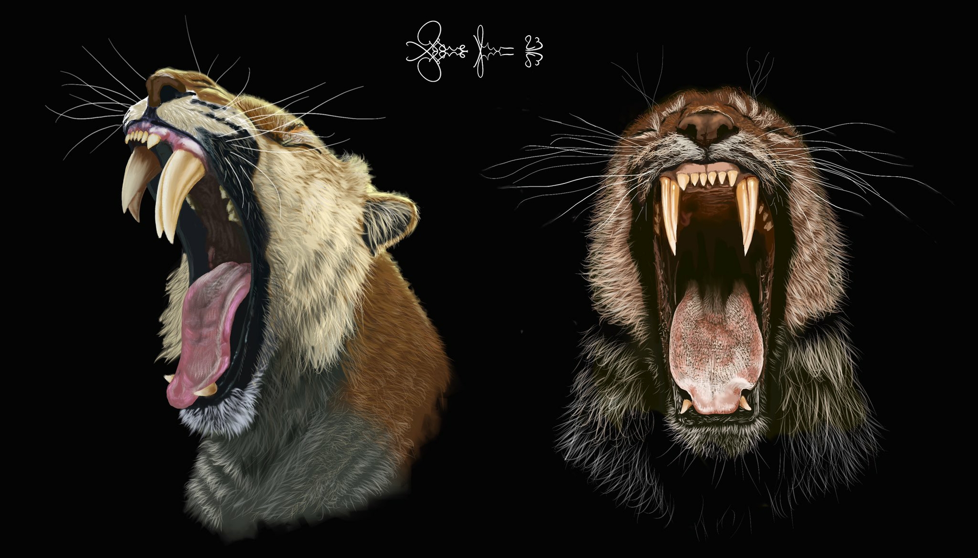 two colorful renderings of saber-toothed cats with open jaws showing fangs