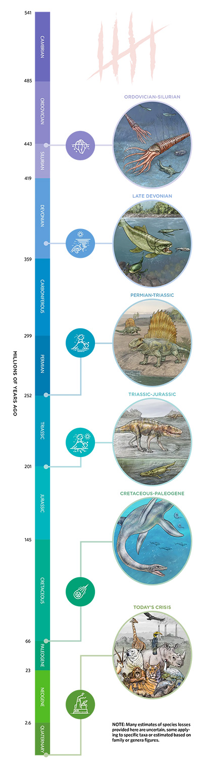 Four of the five biggest mass extinctions within the past 540 million years — the so-called Phanerozoic Eon — were preceded by large-scale volcanic activity that spewed planet-cooling gases into the atmosphere. The five are compared to today’s global warming crisis, which could lead to a sixth mass extinction. (Illustration credits: © Laurie O’Keefe; icons from iStock)