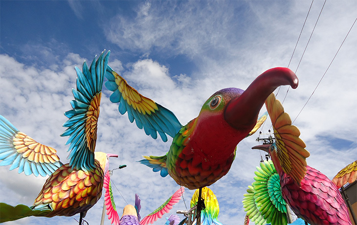 A float showing hummingbirds native to Pasto, a city in southern Colombia, on display during the Great Parade of the city’s "Festival of Negros y Blancos.” The festival tells the story of Colombia, Indigenous traditions, slavery, and independence, and dates back to the celebrations that Indigenous peoples in this region held to give thanks for the harvests. The Great Parade features floats that depict ancestral figures, myths and legends, and local biodiversity. Photo by Maria Angelica Guerrero Quintana.