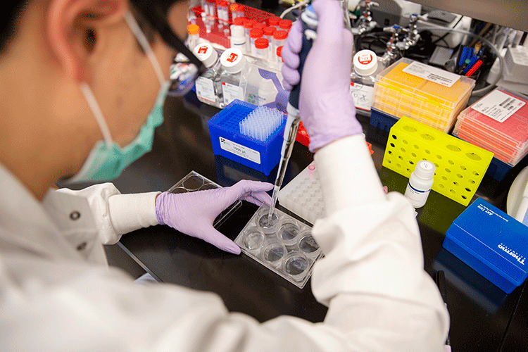 A photo shows a scientist using a pipette to transfer liquid into a lab plate.