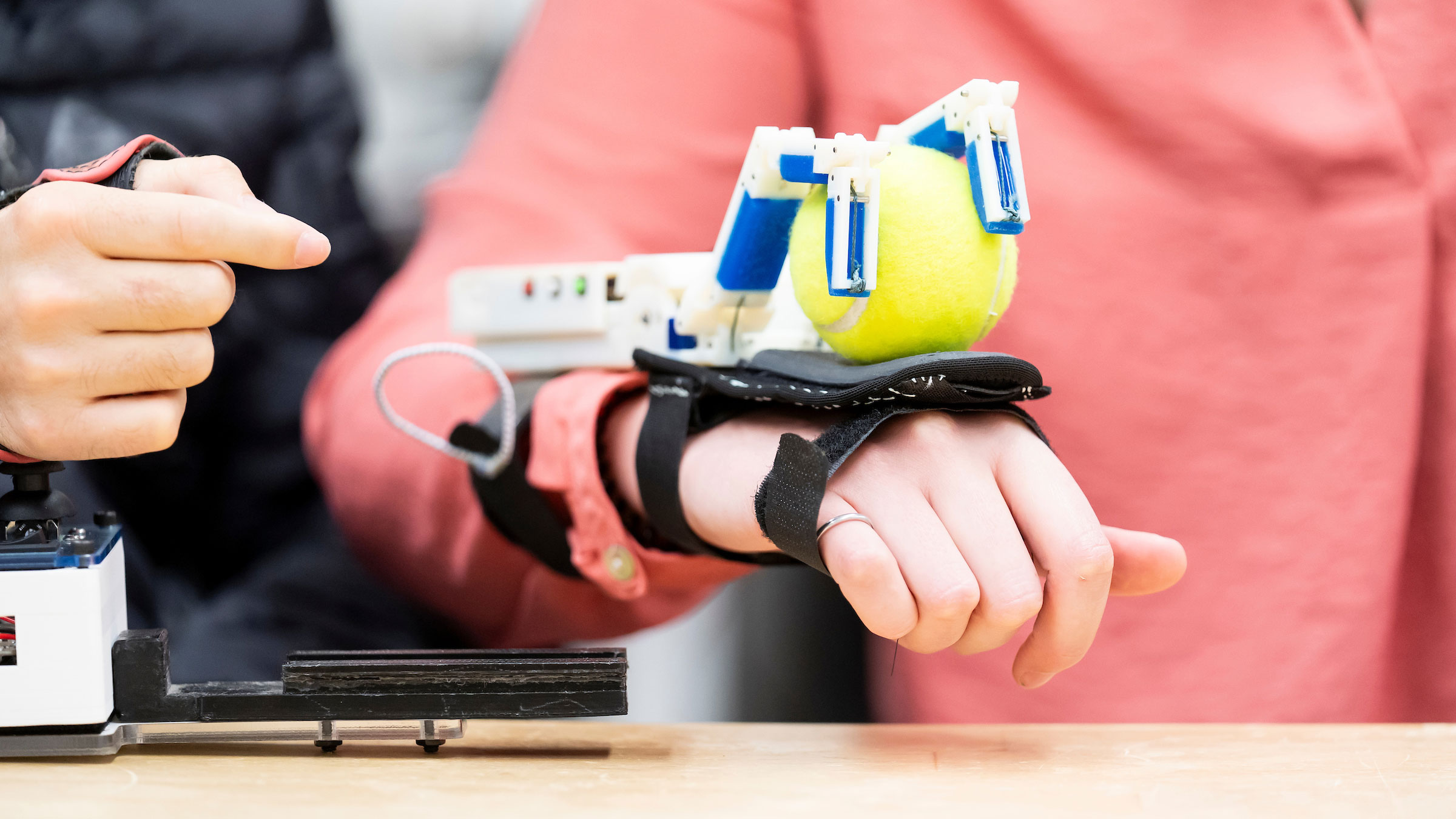 The Dorsal Grasper assistive device, developed by UC Berkeley engineers, facilitates human-robot collaborative grasping. Its supernumerary robotic fingers on the back of the hand are grasping a tennis ball.