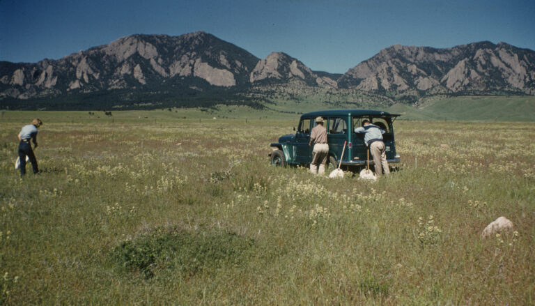 old photo of meadow with car and people collecting grasshoppers