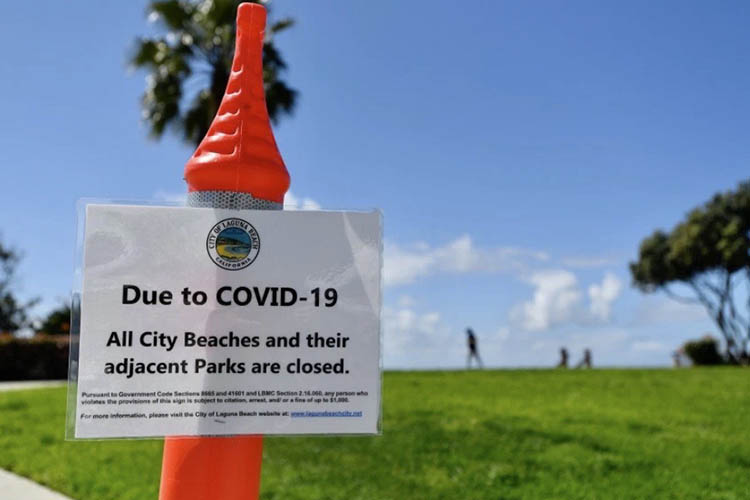 a sun-lit sign telling people to stay off a beach