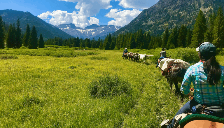 A line of humans and pack horses ride through a stunning mountain valley on a sunny day. 
