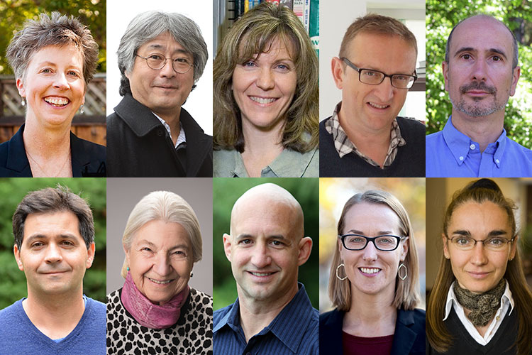 A collage of headshots of Berkeley's 10 new AAAS Fellows