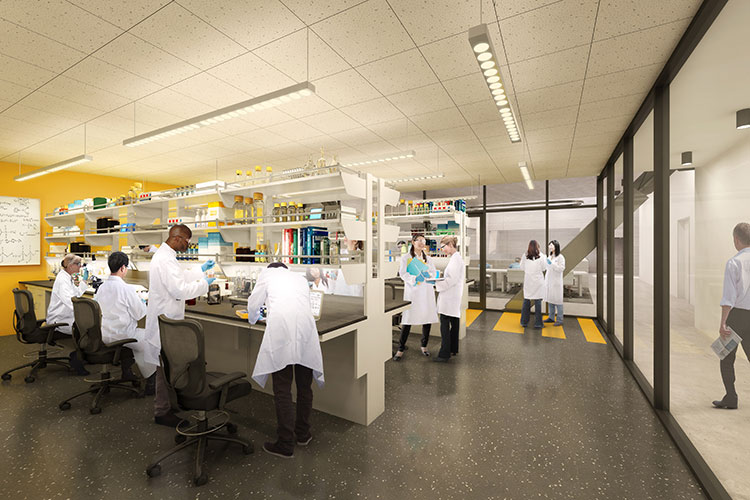 Rendering of a lab space with researchers working