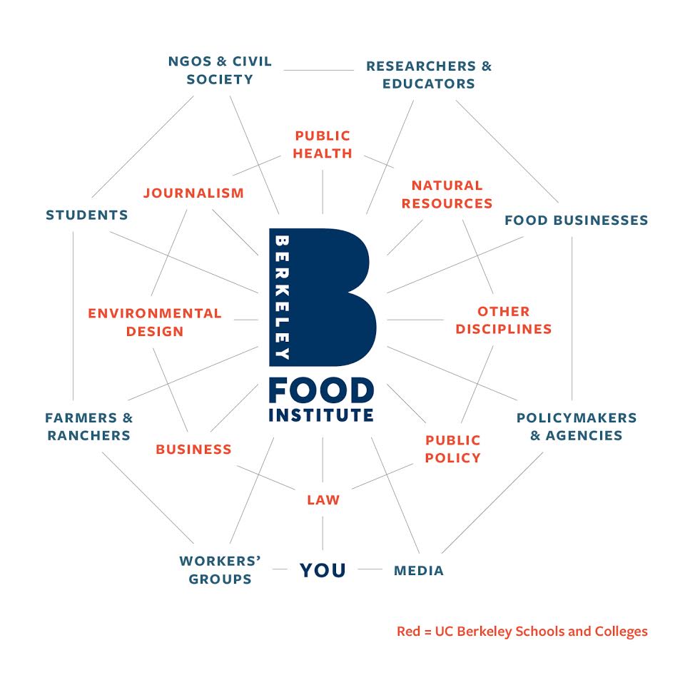 Berkeley Food Institute network connections between UC Berkeley Schools and Colleges and others in the community.