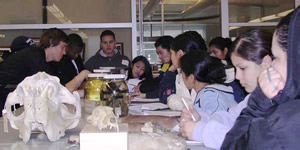 Students sitting at a table