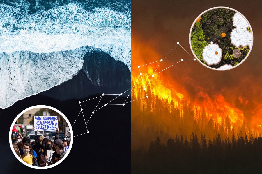 split image of an ocean beach on the left and a forest fire on the right