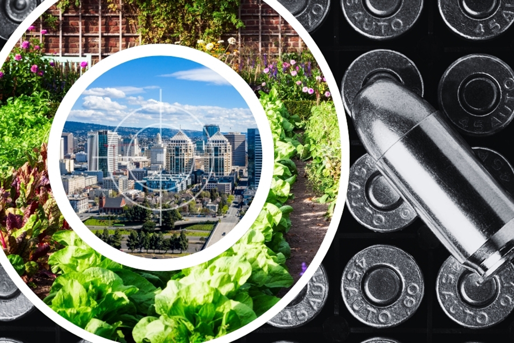 Stylized graphic showing a bullet casing next to concentric circles of a city with a target (inner) and garden growing green vegetables (outer).