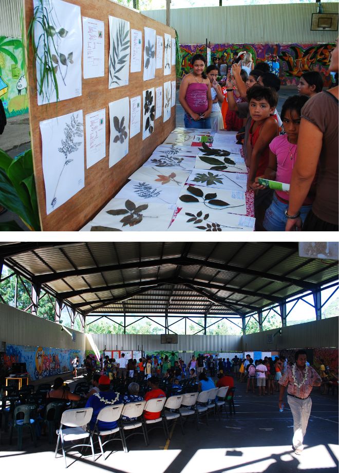 Top: Image of children learning about leaves Botton: Image of scientific fair